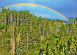 arcobaleno 16 lista